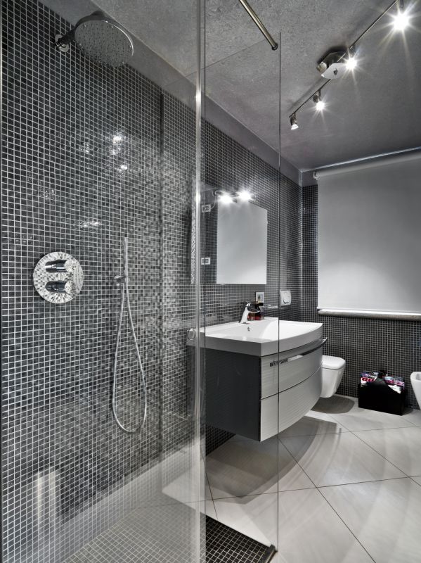 Modern Shower Installation